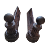 Beautiful pair of caterpillars