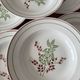 Set of 8 antique deep plates KG Lunéville, floral berry decoration.