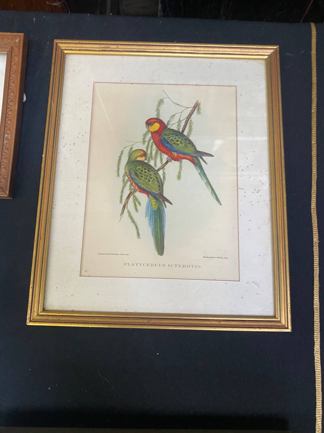 Set of 10 gilded wood or vintage resin frames