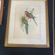 Set of 10 gilded wood or vintage resin frames