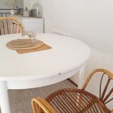 Scandinavian extendable table with butterfly extensions