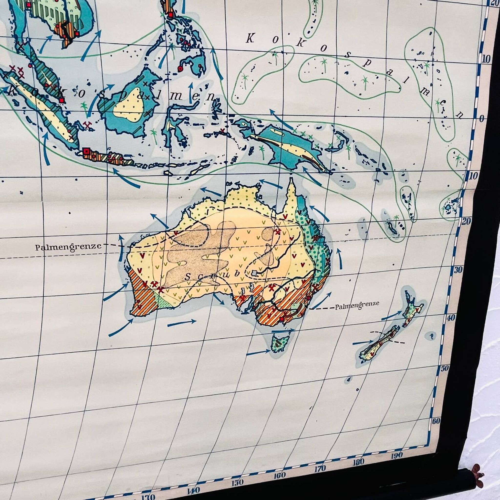 Educational map “the types of landscapes of the earth”