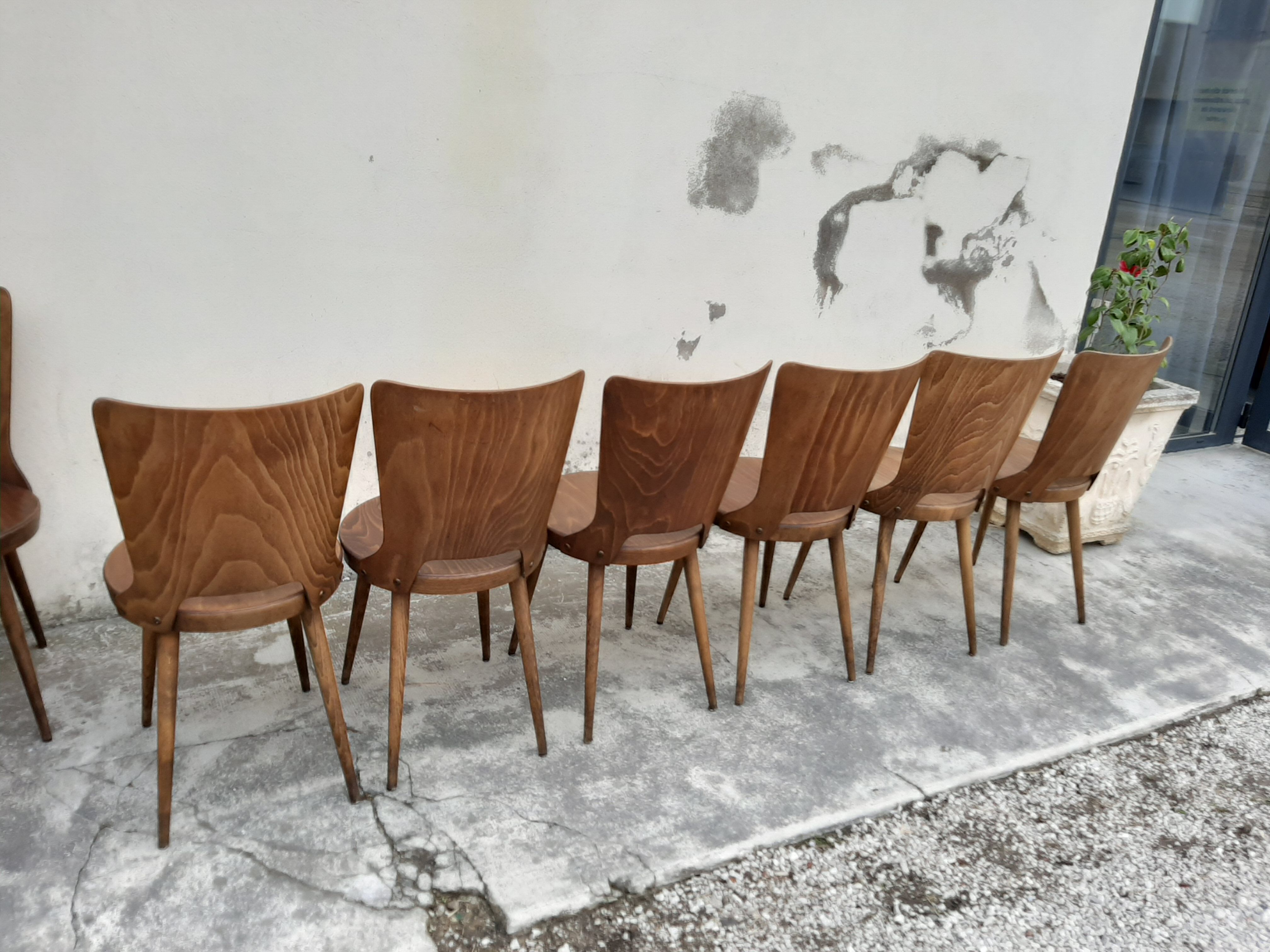 Ensemble de 6 chaises Baumann modèle Dove