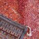 Beni M'Guild Collector Rug - 337 x 210 cm