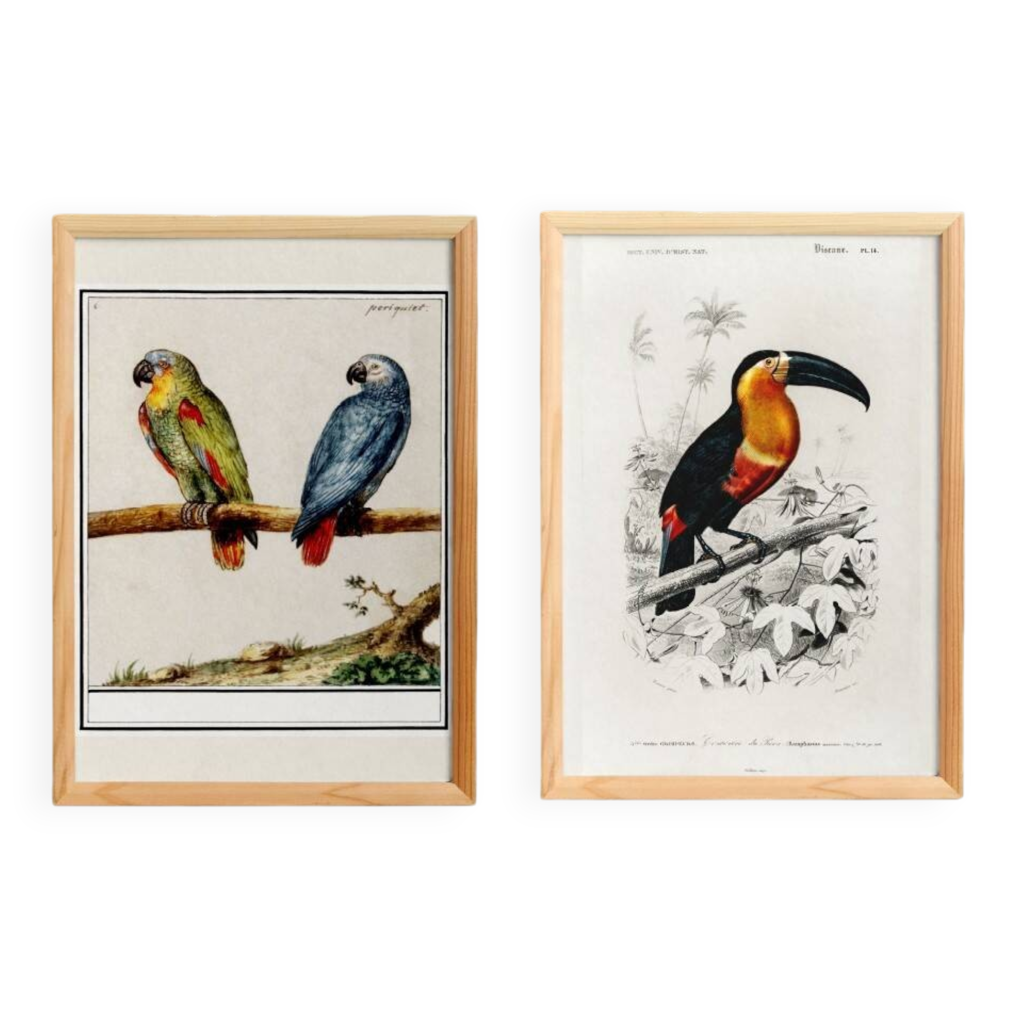 Set of two posters on birds reserved.