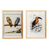Set of two posters on birds reserved.