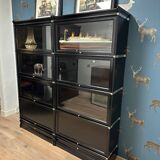 Black Globe Wernicke Bookcase