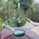 Candy basket blown glass