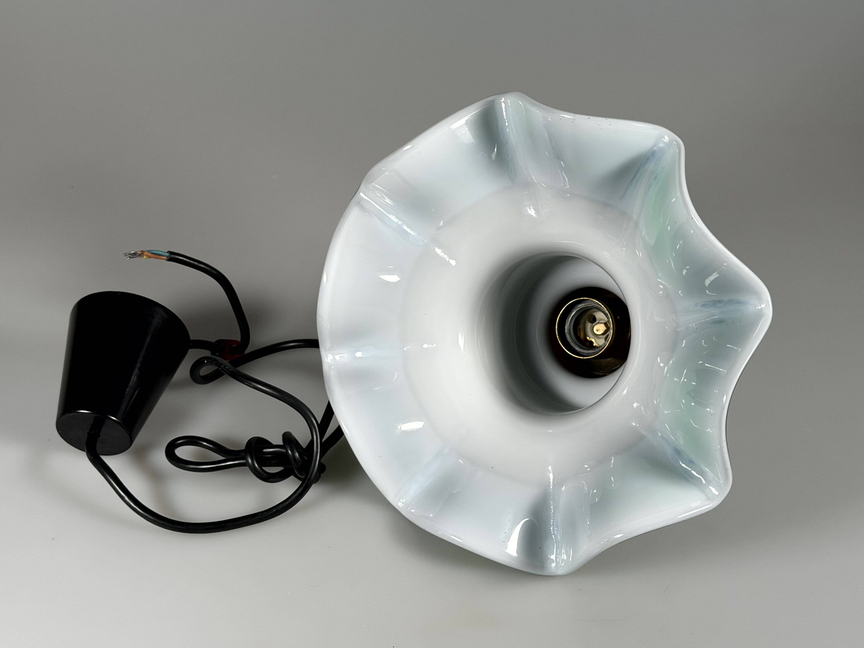 1960s 1970s Hanging Lamp from Peill & Putzler Germany Space Age Design