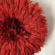 Jujuhat rouge 50 cm