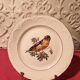 6 dessert plates Digoin Sarreguemines with coloured bird design.