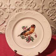 6 assiettes dessert Digoin Sarreguemines décor oiseau en couleur