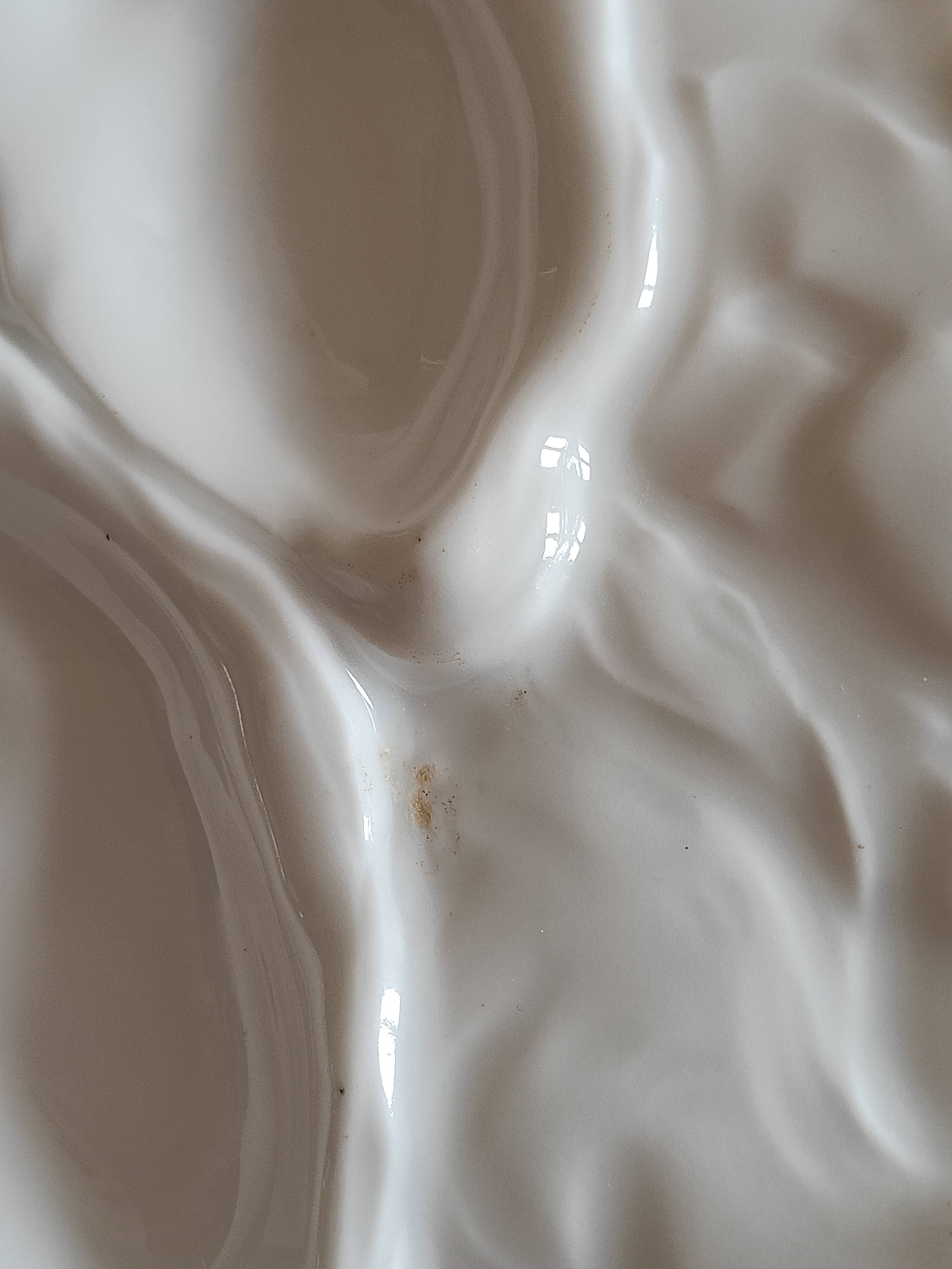 Oyster plate 19th century porcelain Haviland & Co Limoges France