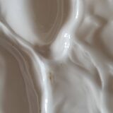 Oyster plate 19th century porcelain Haviland & Co Limoges France