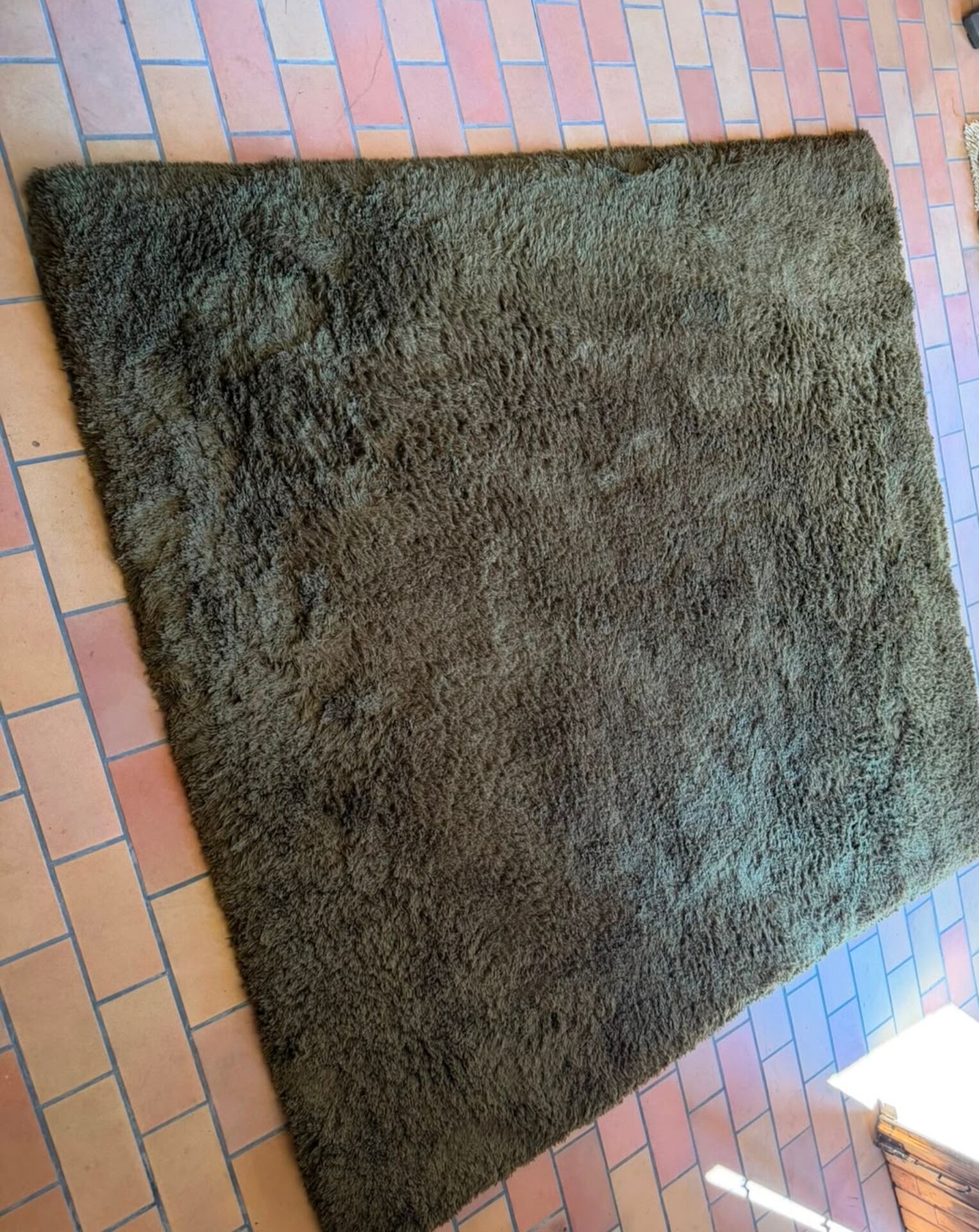 Pure wool carpet