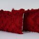 Cushion