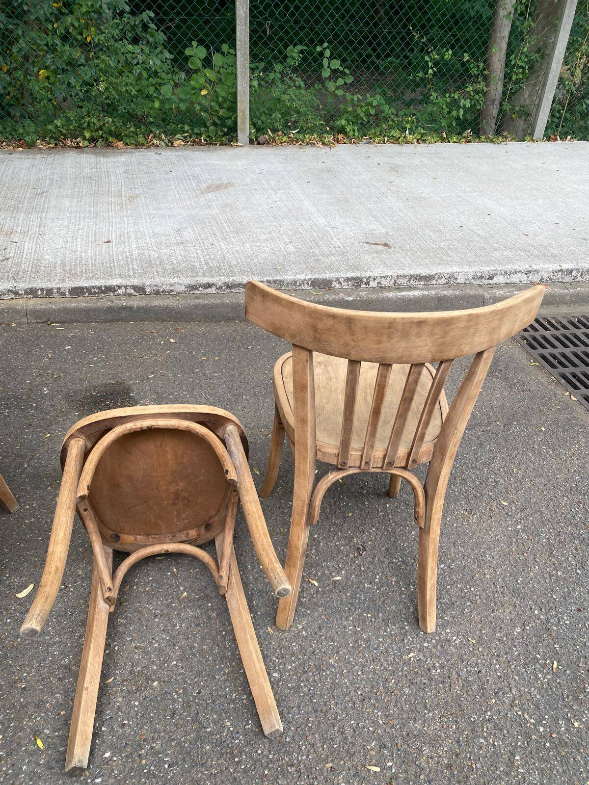 4 stripped bistro chairs in bent wood signed Fischel 1920