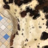 True Cow Skin / Large-format Carpet 200x225cm