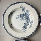 4 deep plates Sarreguemines redcurrants