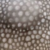 Dessin abstrait poids 1