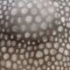 Dessin abstrait poids 1
