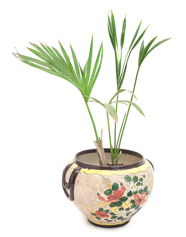 Cache-pot Jérôme Massier, 1900