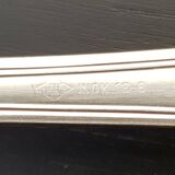 Sauce or dish spoon