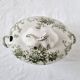 Soupière en porcelaine anglaise Doulton Brurslem avec motif de rose et Waratah, 1920