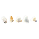Set of 5 antique opaline glass tulips