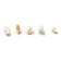Set of 5 antique opaline glass tulips
