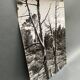 Silver gelatin photograph by Bernard Darot, Dead Tree, 20th century