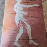 6 anatomy medical posters