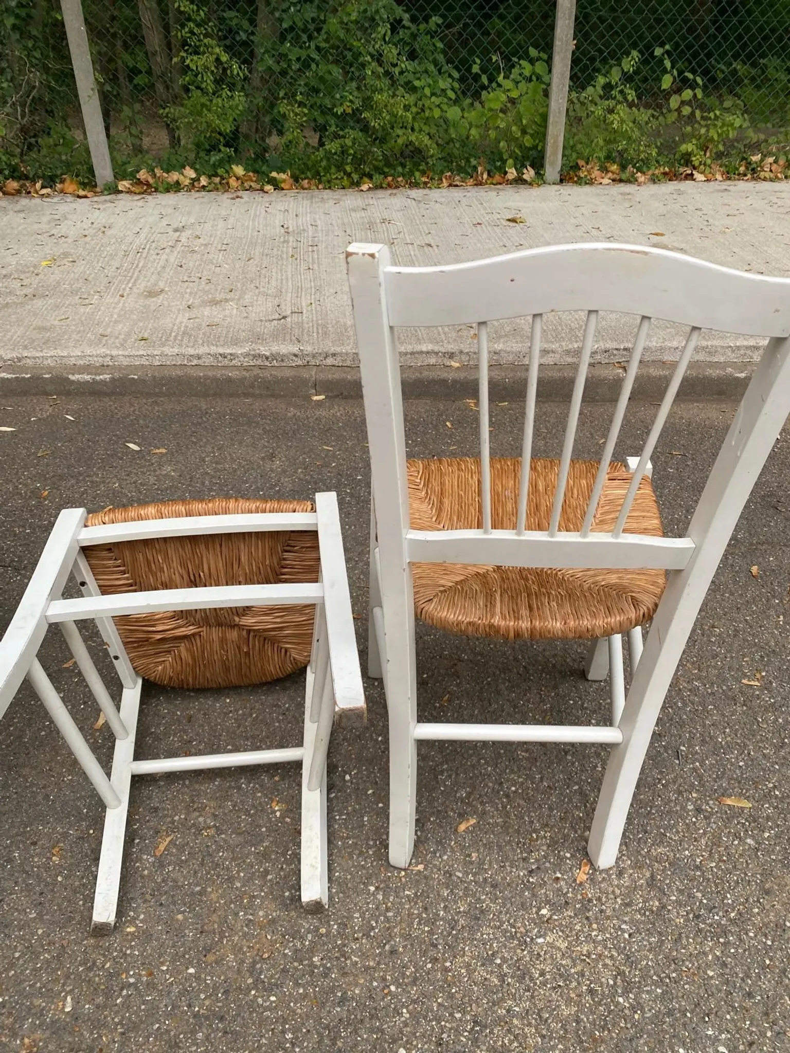 Lot de 4 chaises rustiques en bois blanc & assise paillée