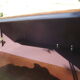 Meuble d appoint art deco noyer