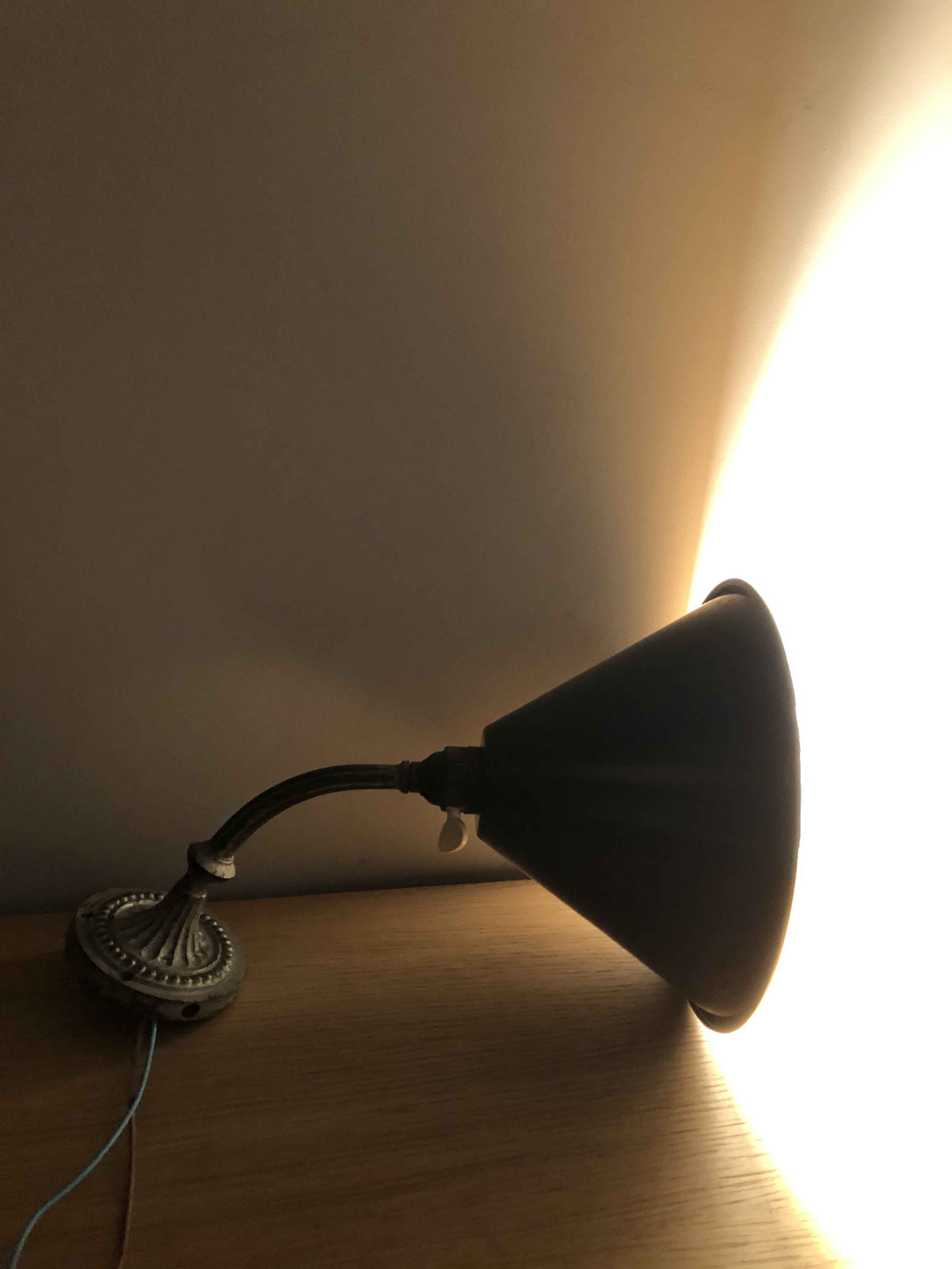 Apply ancient swan collar enamelled day abate