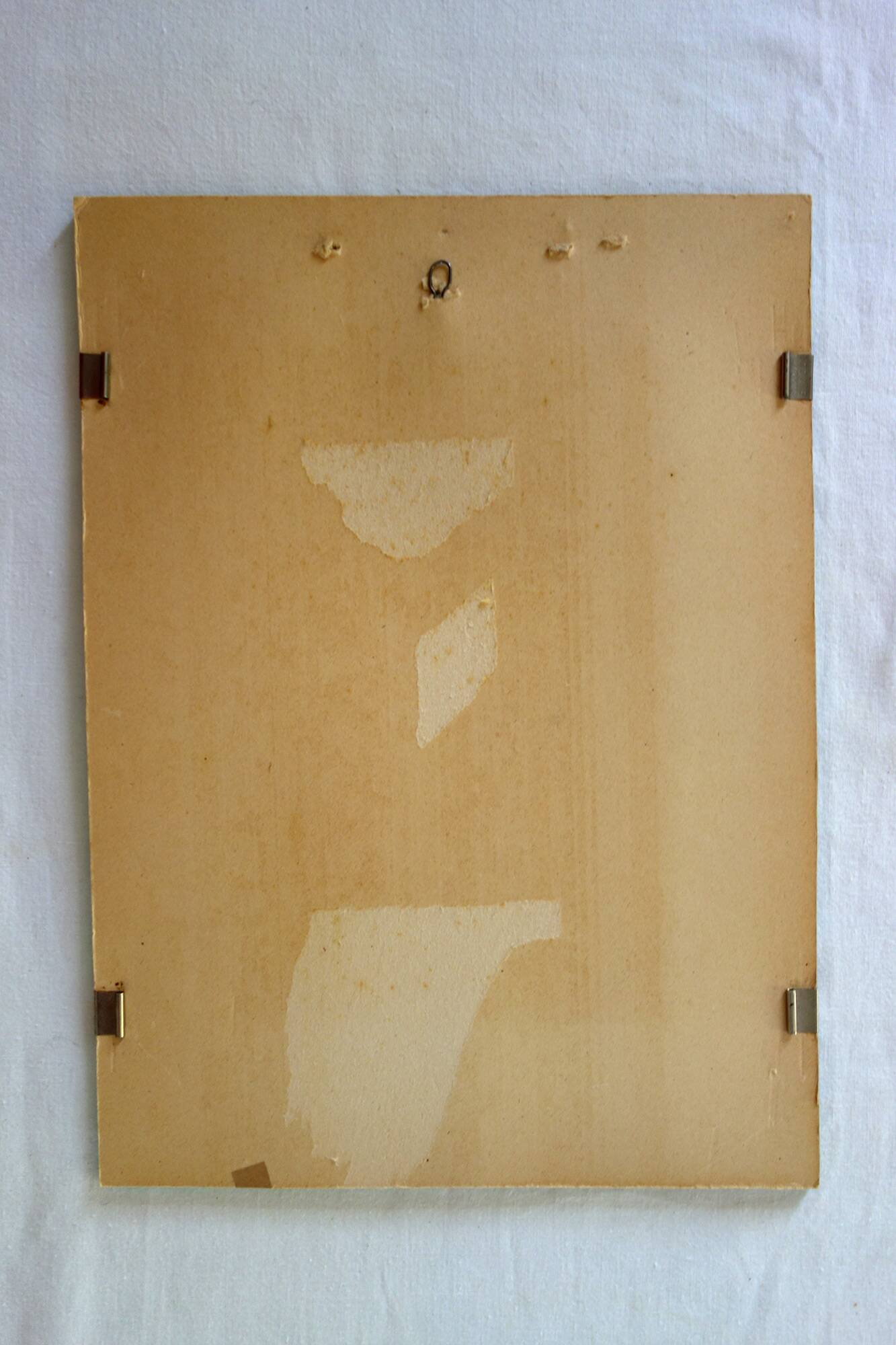 4 framed botanical plates, 19th century