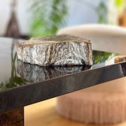 Petrified wood catchall
