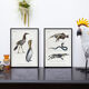 Chimera lithograph animal engraving - the pink flamoulpe