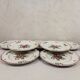 Old Saint Amand Plate Service 1713 France