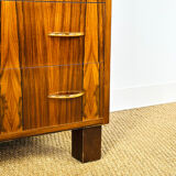 Vintage rosewood chest of drawers 1960