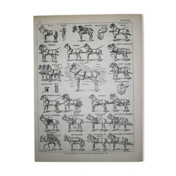 Engraving • Harness, saddles, horse, stable • Original lithograph from 1898