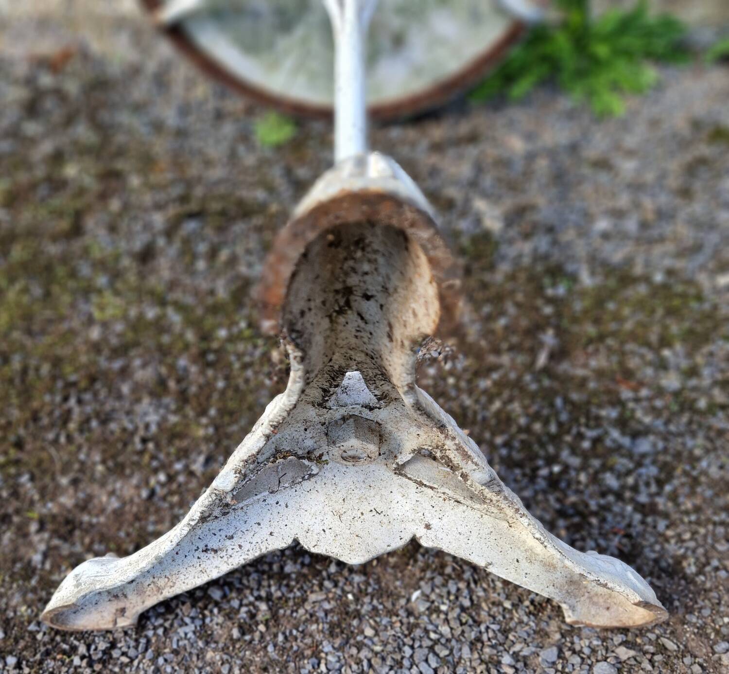 Early 20th century Parisian bistro pedestal table in marble and cast iron