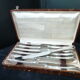 Box of 12 table knives in stainless steel and silver metal