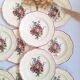 Assiettes plates Digoin Sarreguemines Modèle Loraine