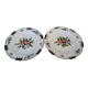 Set of 2 antique hand painted floral pattern plates