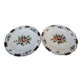 Ensemble de 2 anciennes assiettes motif floral peintes à la main