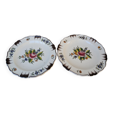 Set of 2 antique hand painted floral pattern plates