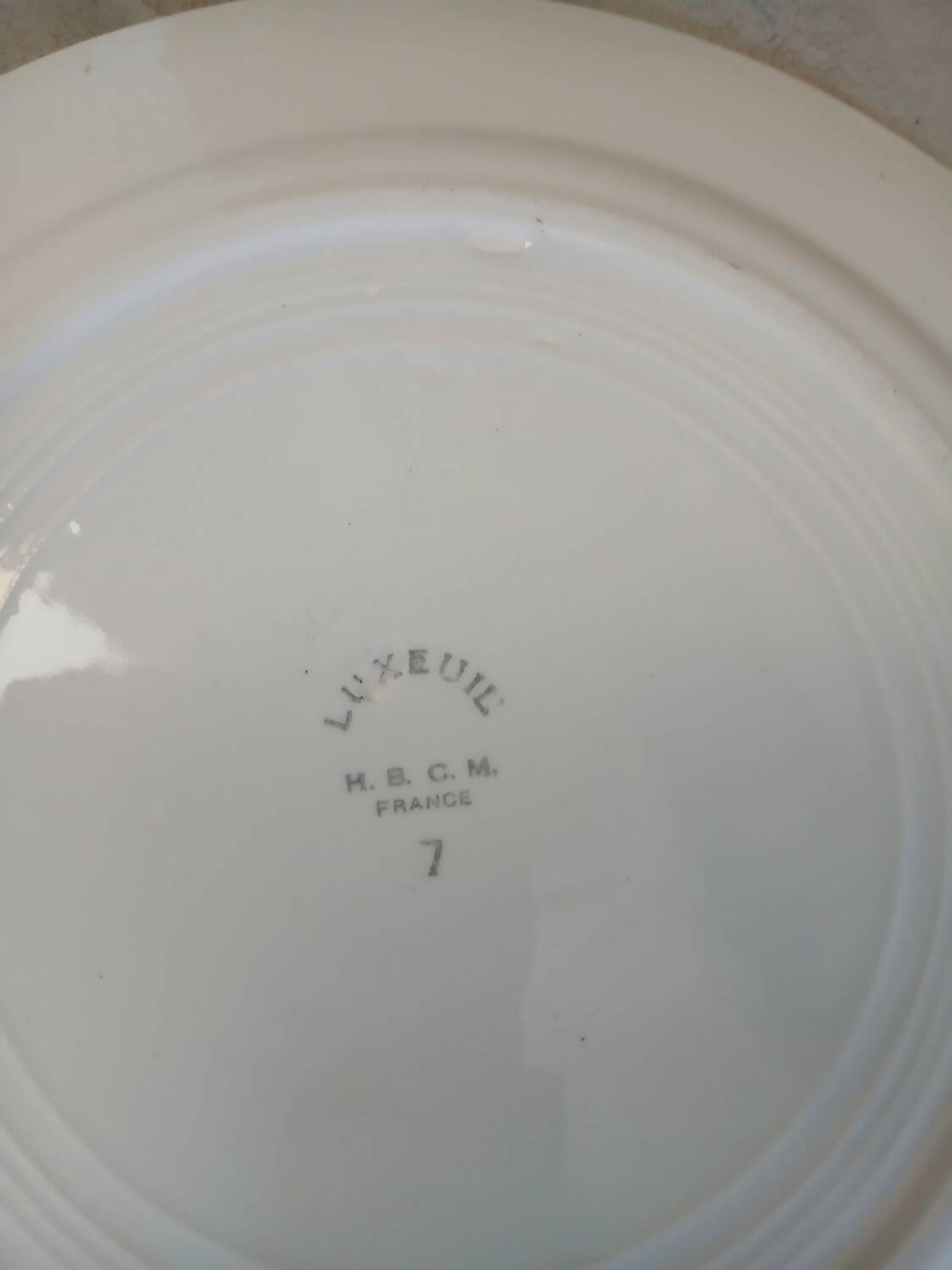 12 assiettes plates anciennes + soupière HBCM