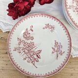 Margot Terre de Fer dinner plates