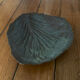 Antique ceramic cabbage leaf catchall.